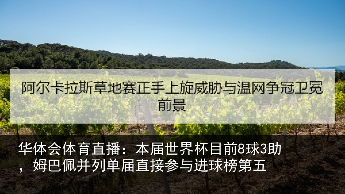 华体会体育直播:本届相关情况巴佩相关情况进球榜第五