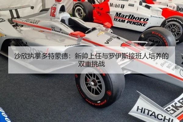 sha-xin-zhi-zhang-duo-te-meng-de-xin-shuai-shang-ren-yu-luo-yi-si-jie-ban-ren-pei-yang-de-shuang-chong-tiao-zhan-3-804.jpg