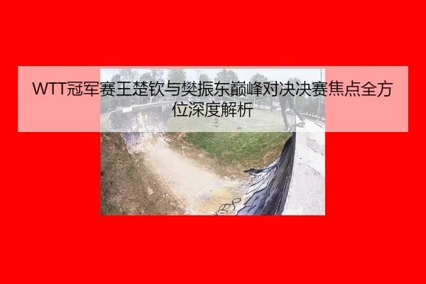 WTT冠军赛王楚钦与樊振东巅峰对决决赛焦点全方位深度解析